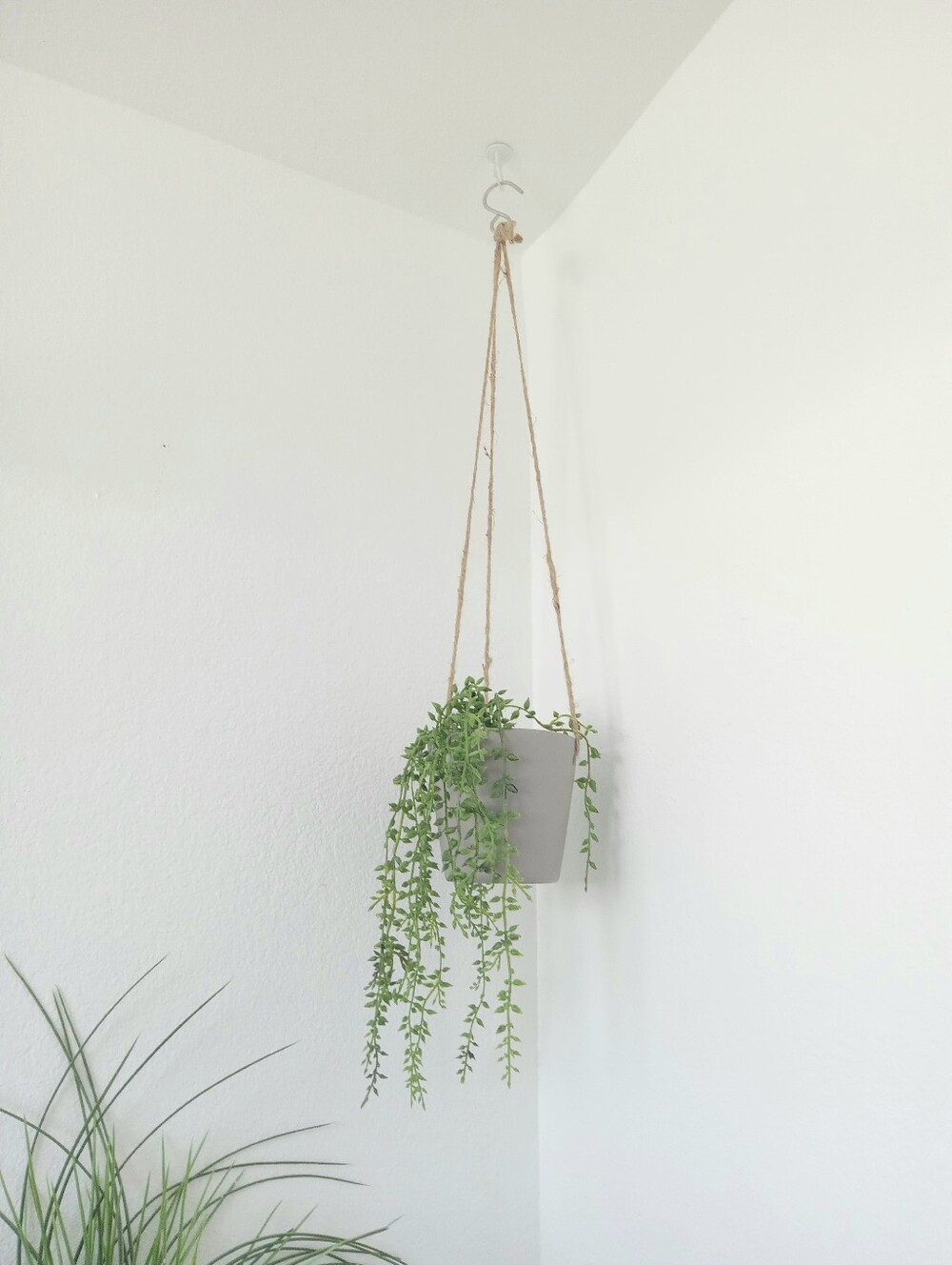 Bohemian Style Greenery Hanging Decoration